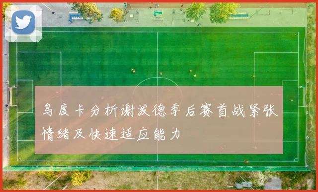 乌度卡分析谢泼德季后赛首战紧张情绪及快速适应能力